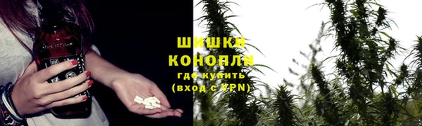 прущие грибы Дмитров