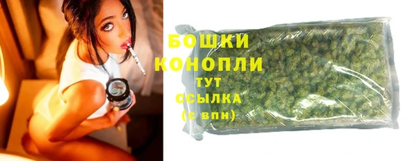 мет Дмитриев