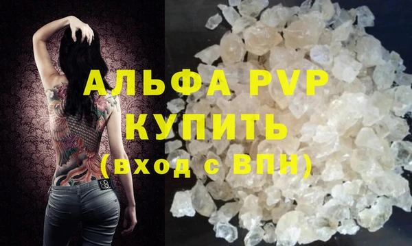 прущие грибы Дмитров