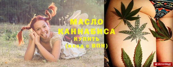 мет Дмитриев