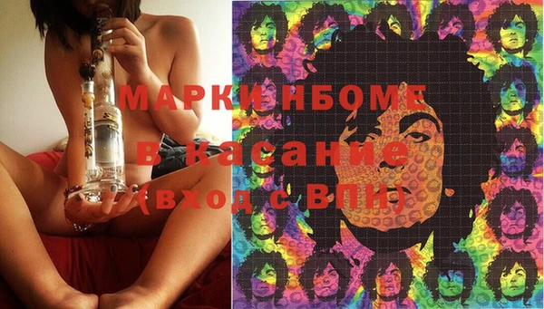 прущие грибы Дмитров