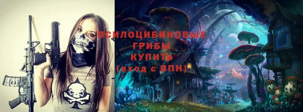 стафф Дмитровск